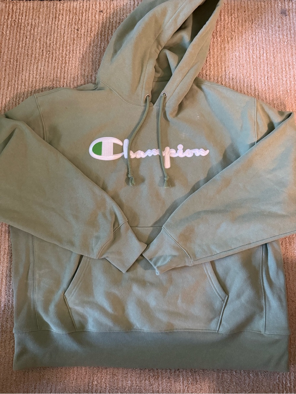 Champion Men's Sage Green Hooded Sweatshirt